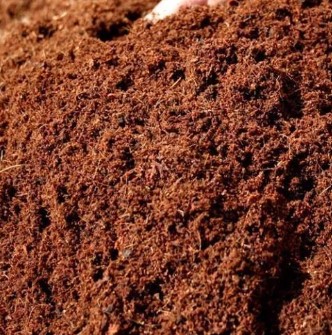 Cocopeat growing medium